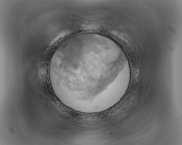 X0000115201254200911121835