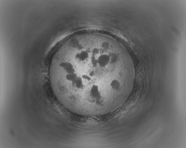 X0000115201255200911121835