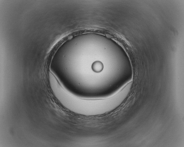 X0000115201256200911121835