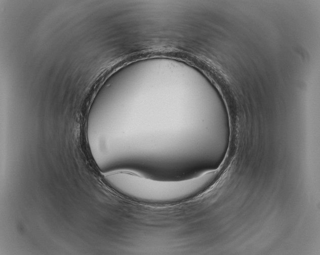 X0000115201257200911121835