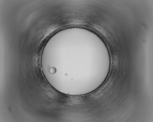 X0000115201258200911121835
