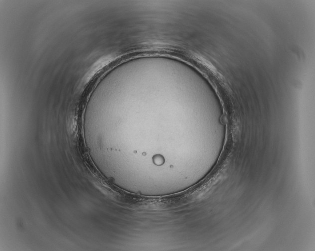 X0000115201259200911121835