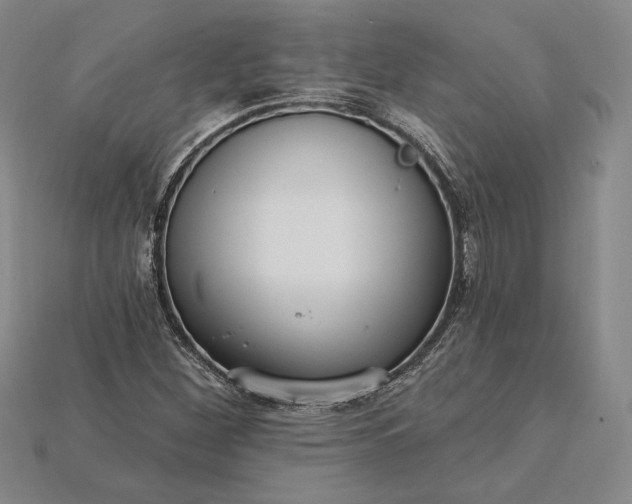 X0000115201260200911121835