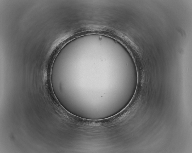 X0000115201261200911121835