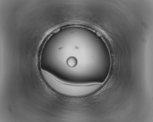 X0000115201264200911121835