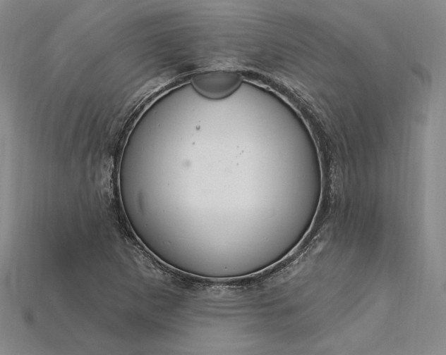 X0000115201265200911121835
