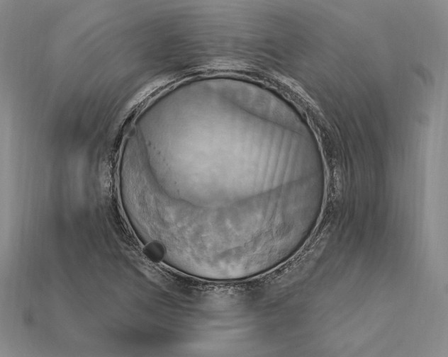 X0000115201266200911121835