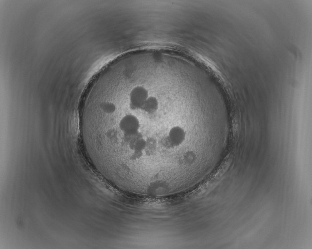 X0000115201267200911121835
