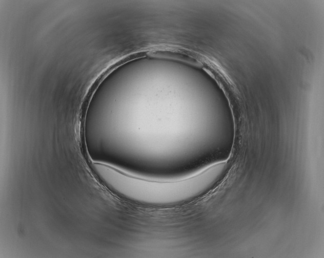 X0000115201268200911121835
