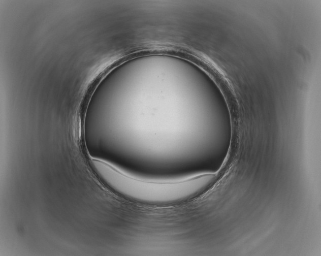 X0000115201269200911121835