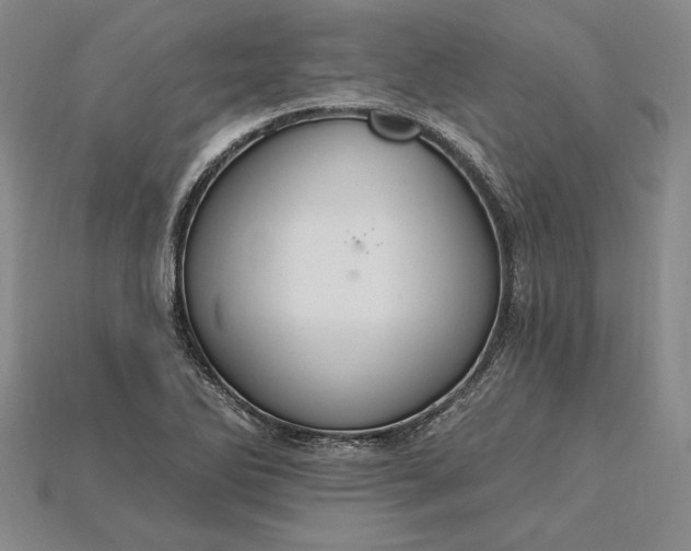 X0000115201270200911121835