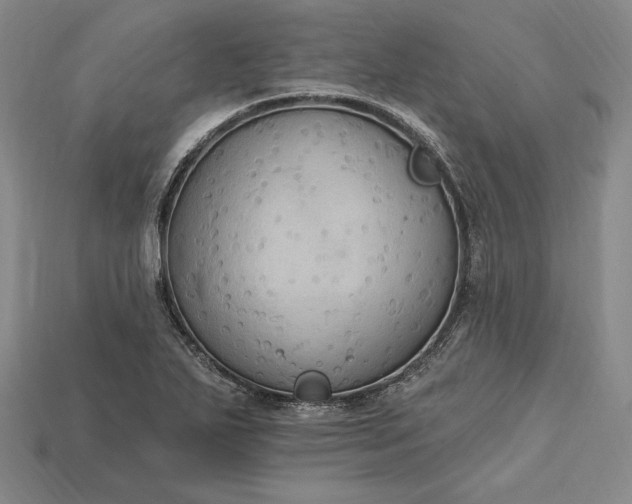X0000115201271200911121835
