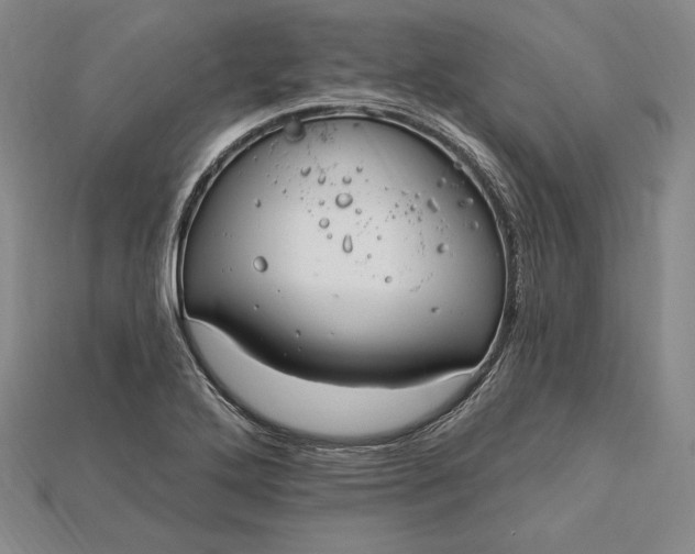 X0000115201272200911121835