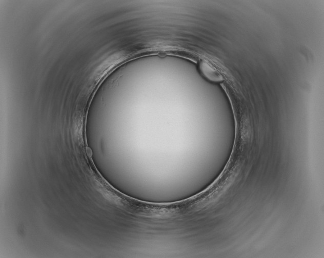 X0000115201273200911121834