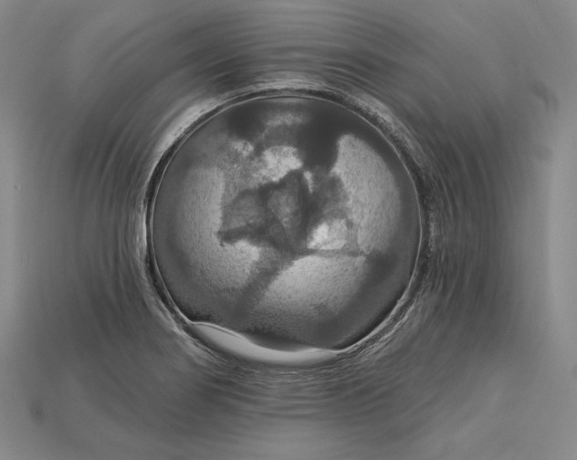X0000115201274200911121834