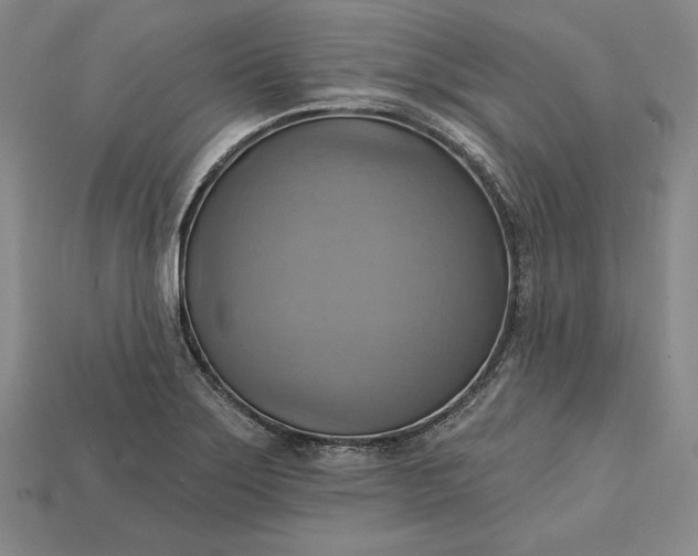 X0000115201275200911121834
