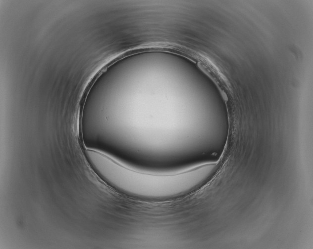 X0000115201276200911121834
