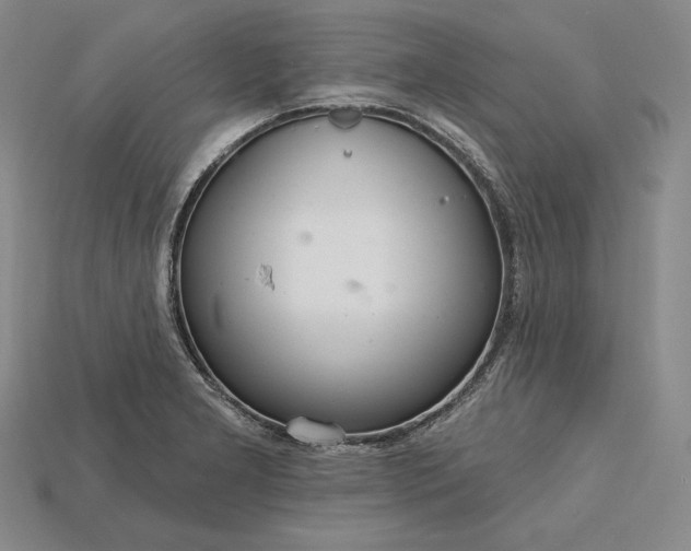 X0000115201277200911121834