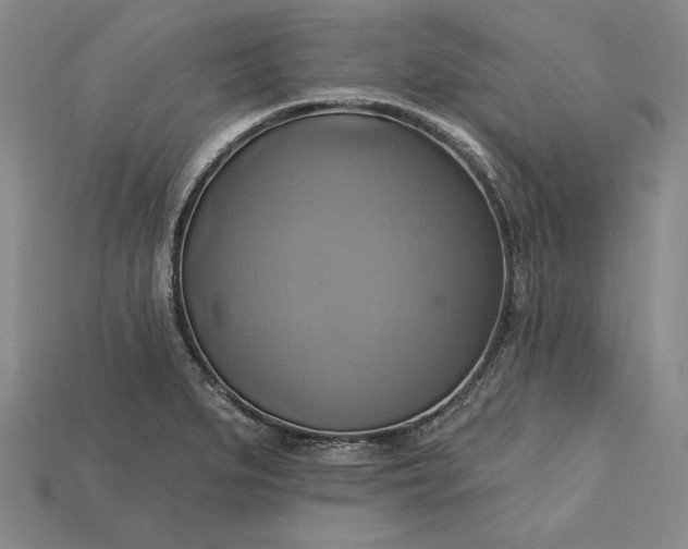 X0000115201279200911121834