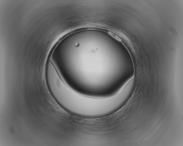 X0000115201280200911121834