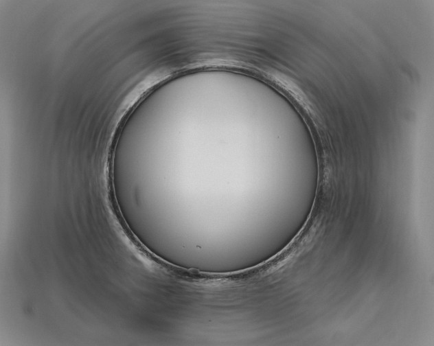 X0000115201282200911121834