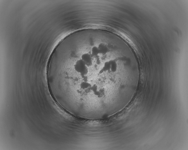 X0000115201283200911121834