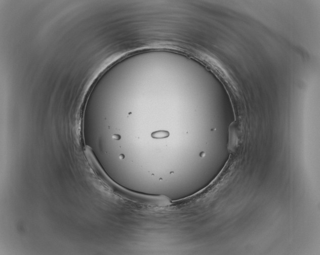 X0000115201284200911121834