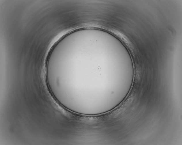 X0000115201286200911121834