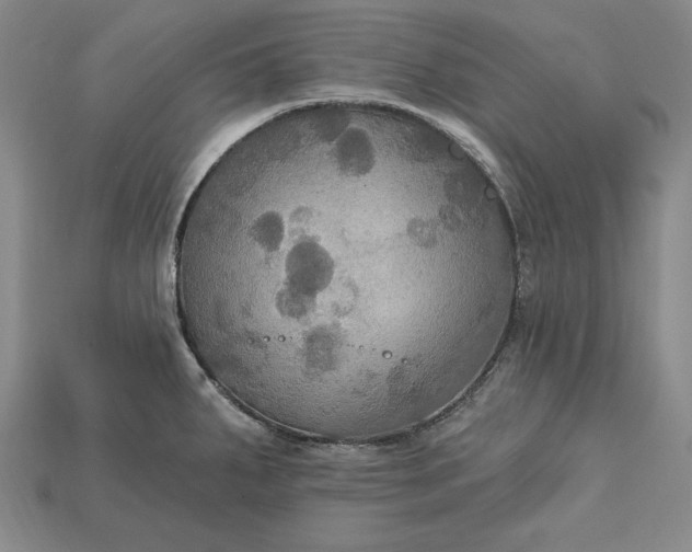 X0000115201287200911121834