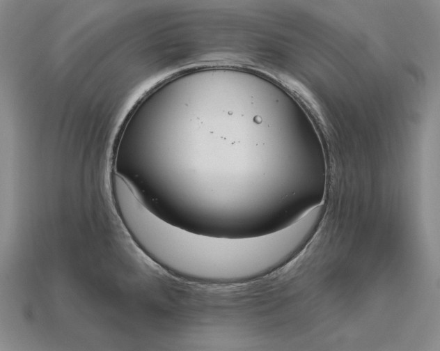 X0000115201288200911121834