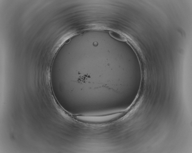 X0000115201289200911121834