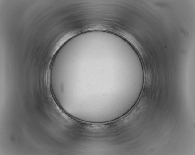X0000115201290200911121834