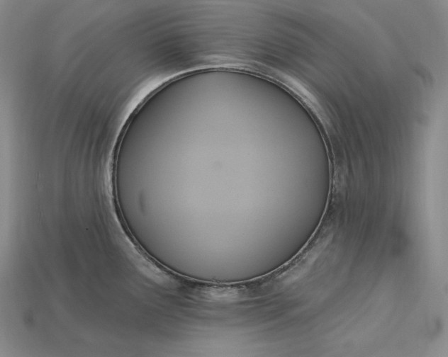 X0000115201291200911121834
