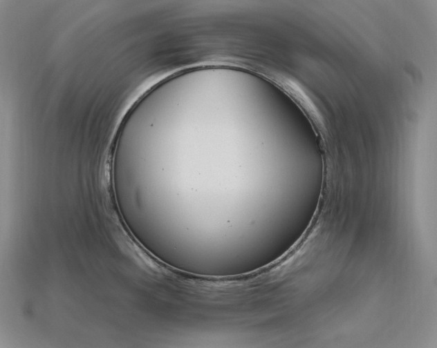 X0000115201292200911121834
