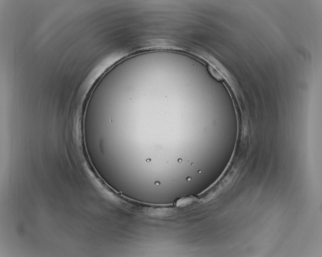 X0000115201293200911121834