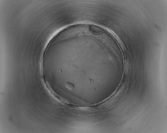X0000115201295200911121834