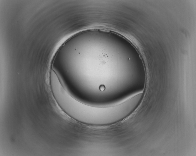 X0000115201296200911121834
