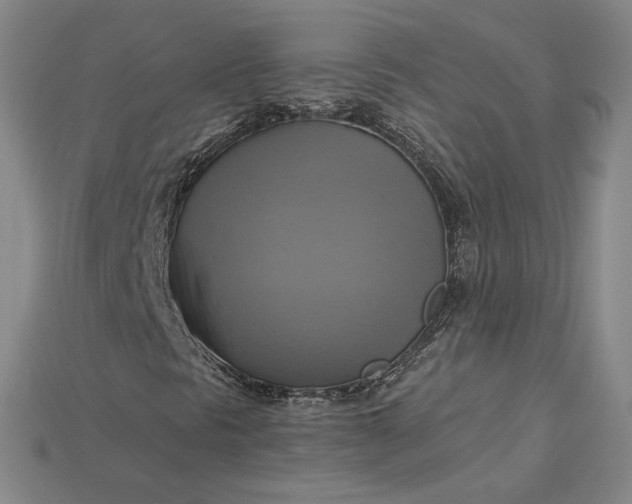 X0000115201297200911121833