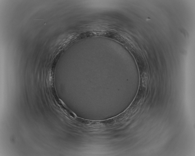 X0000115201298200911121833