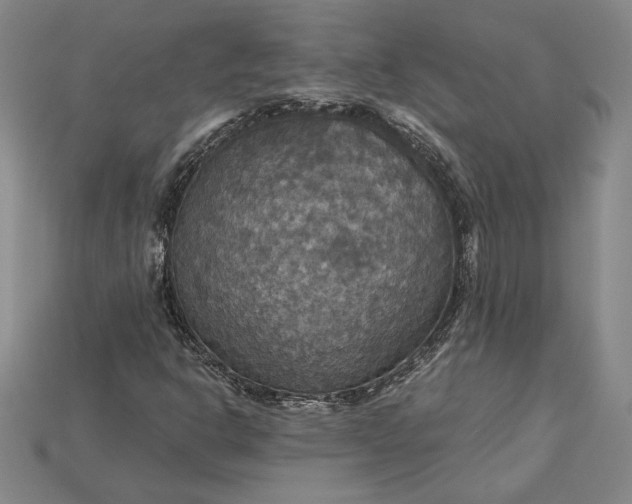 X0000115201302200911121833