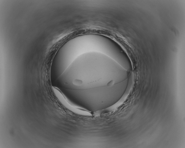 X0000115201303200911121833