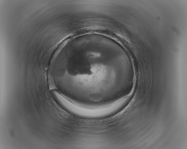 X0000115201305200911121834