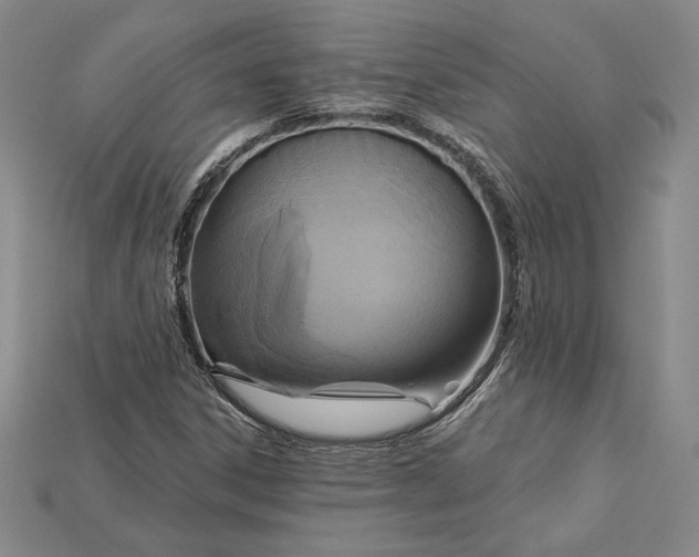 X0000115201306200911121834