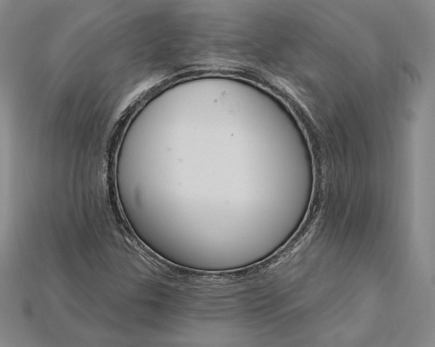 X0000115201307200911121834