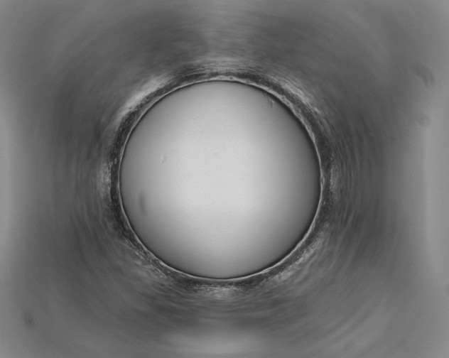 X0000115201309200911121834