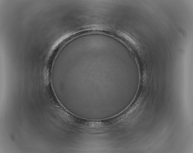 X0000115201310200911121834