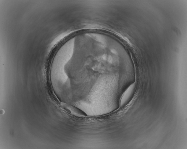 X0000115201311200911121834
