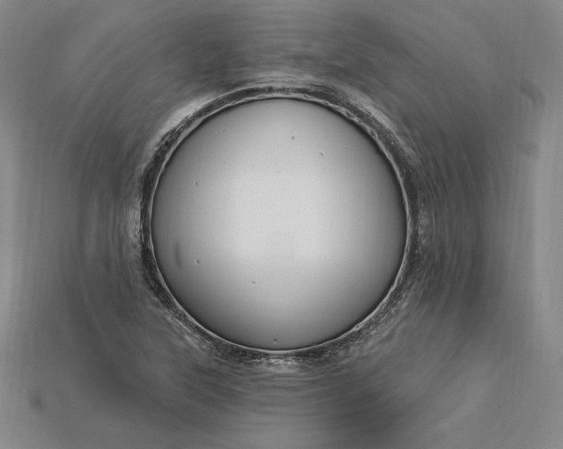 X0000115201315200911121834