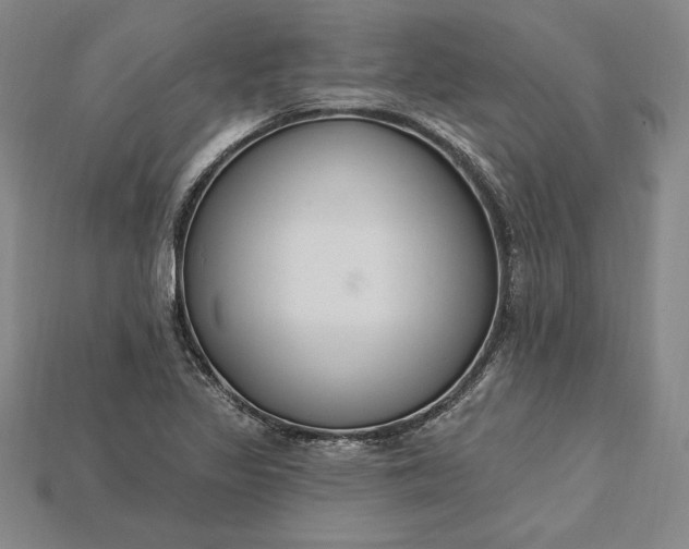 X0000115201317200911121834