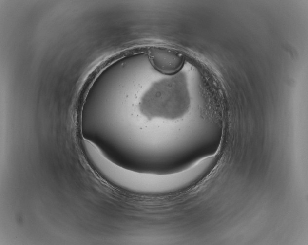 X0000115201318200911121834